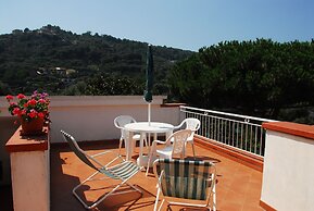 Old Farmhouse Set In A Citrus Grove
