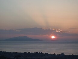 Old Farmhouse Set In A Citrus Grove