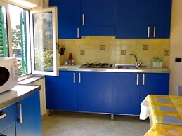 Old Farmhouse Set In A Citrus Grove