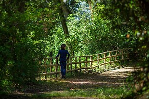 Spectacular Views - Villa Guinigi - Lucca Area