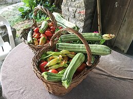 la Casetta Nel Bosco Feel the Nature