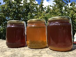 la Casetta Nel Bosco Feel the Nature