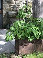 la Casetta Nel Bosco Feel the Nature