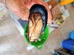 Siriana Open Space Penthouse