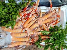 Siriana Open Space Penthouse