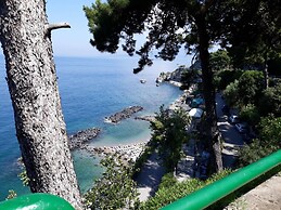 Siriana Open Space Penthouse