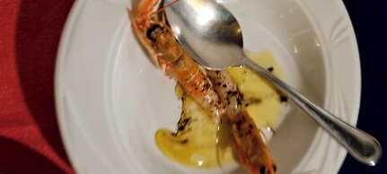 Siriana Open Space Penthouse