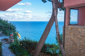 Cervo 319C With Shared Pool