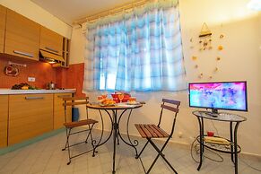 Cervo 319C With Shared Pool