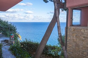 Cervo 319C With Shared Pool