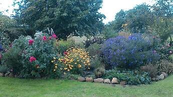 Ferienwohnung Rosentraum