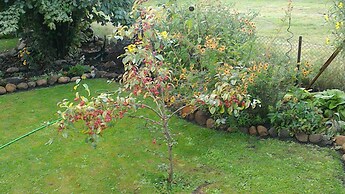 Ferienwohnung Rosentraum