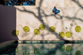 Jardim da Lapa by Shiadu