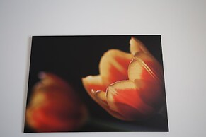 Apartment 30 Meters From The Sea 6 Beds Without Sea View