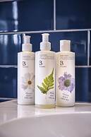 The Three Blackbirds