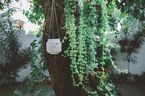 Midsummer Thulusdhoo