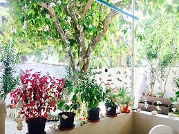 Midsummer Thulusdhoo