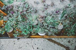 Midsummer Thulusdhoo