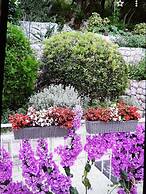 Apartments Maria Kolocep