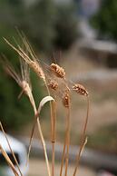 Hot Tub Cottage Kalymnos