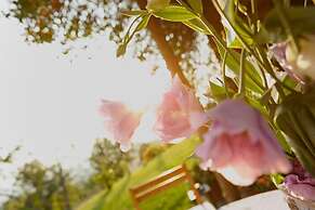 Agriturismo Podere Picciolo