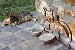 Agriturismo Podere Picciolo