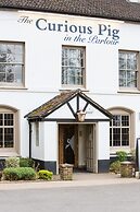 The Curious Pig in the Parlour