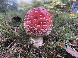 St Georges Balcony Suite