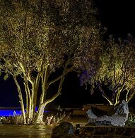 Phaos Cellaria Estate