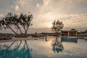 Phaos Cellaria Estate