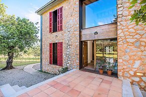 NEW 2020 - Empaltada