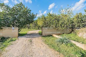 NEW 2020 - Empaltada