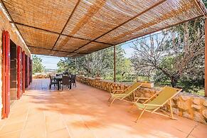 NEW 2020 - Empaltada