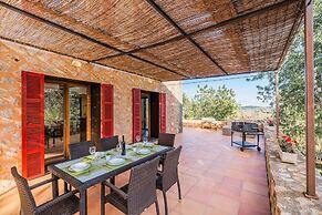 NEW 2020 - Empaltada