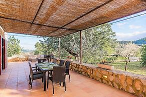 NEW 2020 - Empaltada