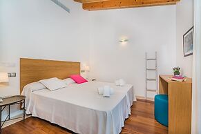 NEW 2020 - Empaltada