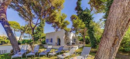 New 2020 Casa Plomer