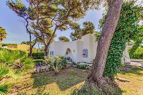 New 2020 Casa Plomer