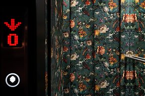 Chic & Basic Gravity