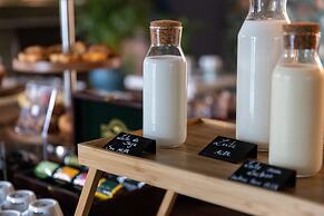 Chic & Basic Gravity