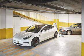 Chic & Basic Gravity