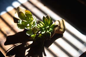 JR Komagome Apartment 1-3