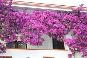 Rose Garden, Super Cheap Holiday Home in the Southernmost tip of Sardi