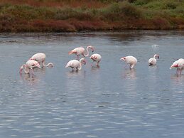 Rose Garden, Super Cheap Holiday Home in the Southernmost tip of Sardi