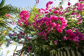 Paradise Lux Villa Porto Cheli