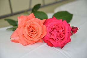 Room in Apartment - Two-room Apartment