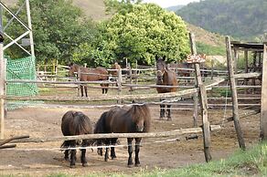 Rustic Tuscan Apartment