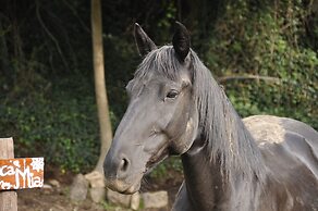 Apartment Immersed in the Green of the Maremma