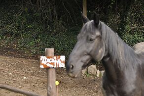 Rustic Tuscan Style Apartment