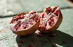 Etna Holiday Home,studio Melograno